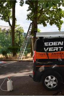 Traitement guêpes et frelons